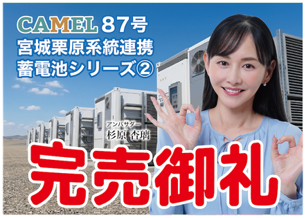 CAMEL87号 宮城栗原 系統連携蓄電池シリーズ② 完売いたしました