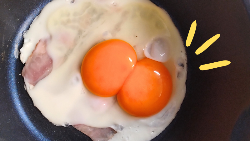 双子の卵「二黄卵」 | 【いわてやの輪/南部せんべい乃巖手屋】